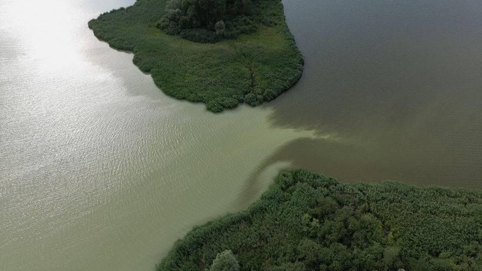 Jezioro Gopło