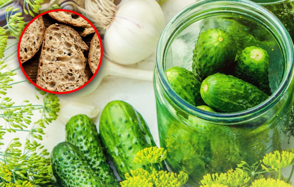 Dodaj do ogórków małosolnych. Szybciej będą gotowe