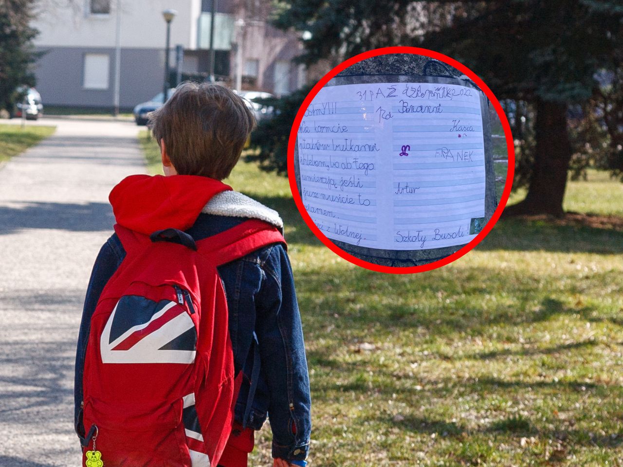 Znalazł to na drzewie w warszawskim parku. Natychmiast zrobił zdjęcie