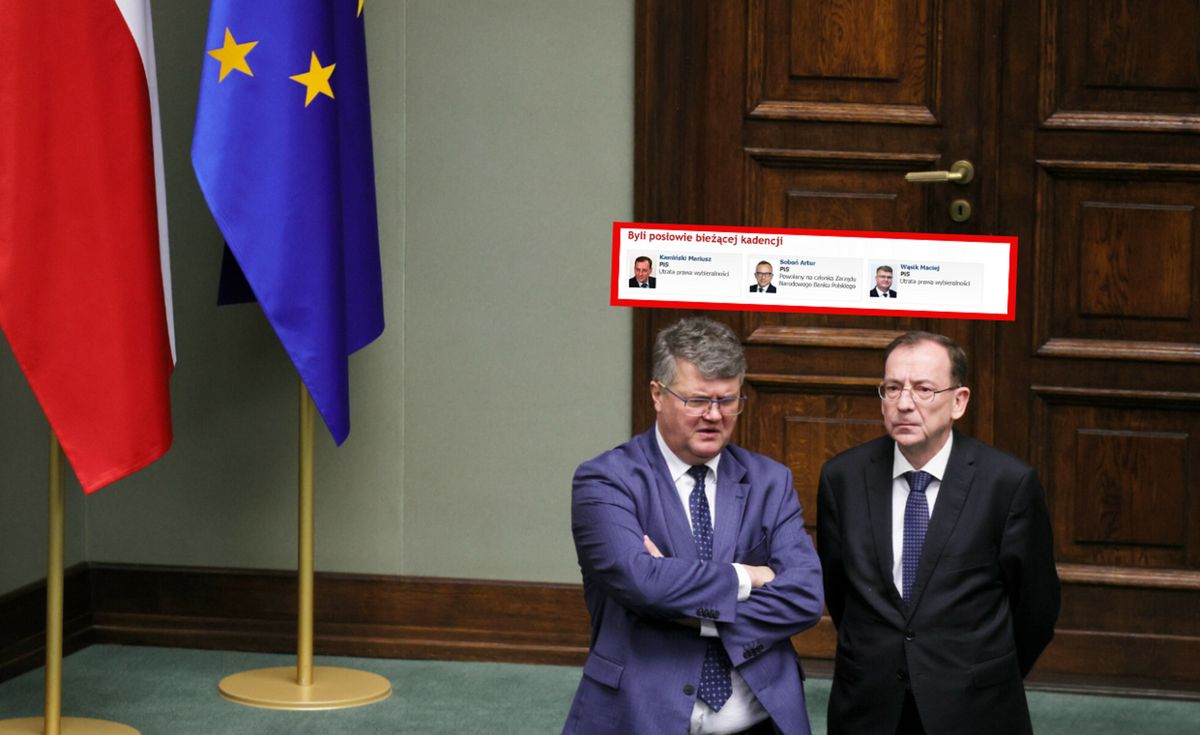 Strona Sejmu zaktualizowana. Wąsik skreślony z listy posłów