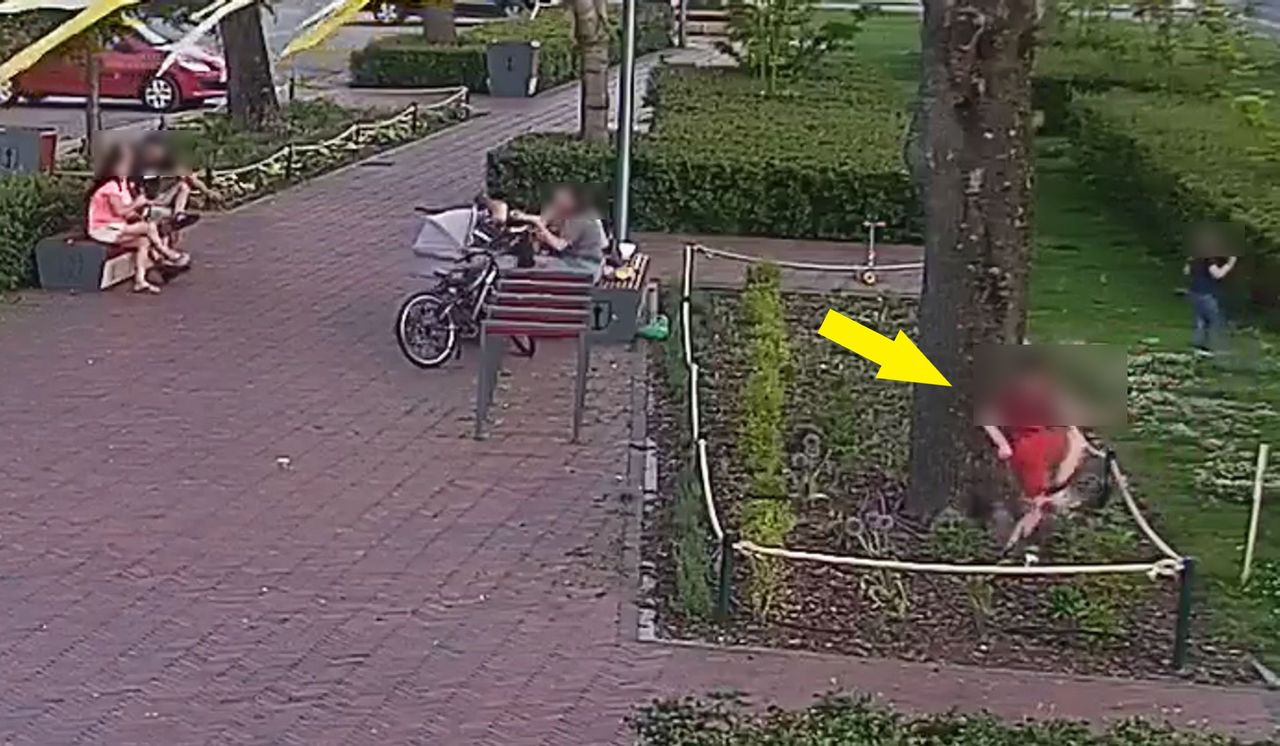 "Rodzice zajęci rozmową, a dzieci demolują klomby". Służby publikują zdjęcia