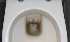 Ten domowy sposób działa lepiej niż płyn do WC. Usuniesz zacieki i kamień
