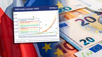 Krytycy SAFE nie wierzą w Polskę. Oto dlaczego ten dług jest niegroźny [OPINIA]