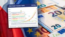 Krytycy SAFE nie wierzą w Polskę. Oto dlaczego ten dług jest niegroźny [OPINIA]