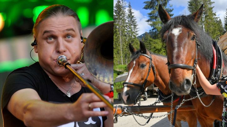 Paweł Golec o transporcie konnym na Morskim Oku