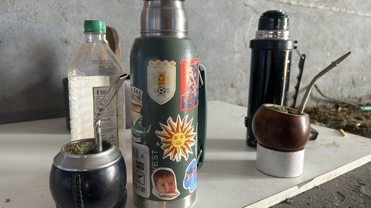 Zestaw każdego Urugwajczyka