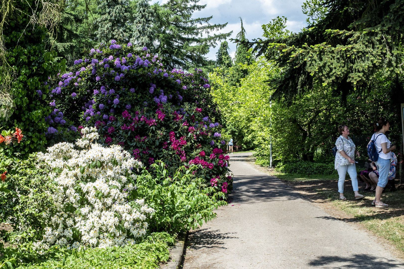 Arboretum