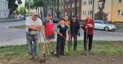 Ostróda: Zielona zmiana w centrum - mieszkańcy wspólnie upiększają osiedle