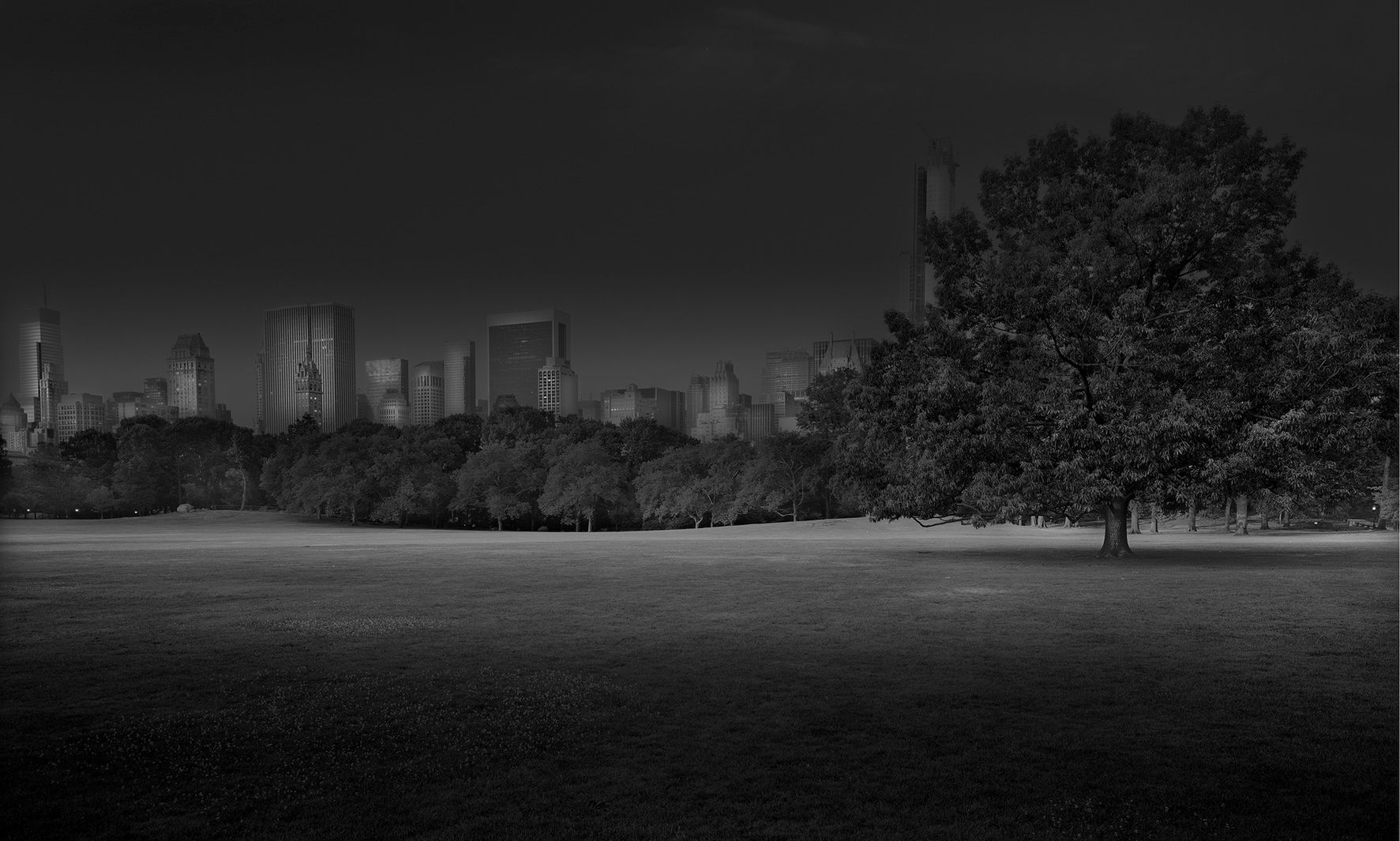 Zobacz opustoszały nowojorski Central Park w projekcie „Deep In a Dream" 1