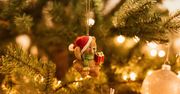 Boże Narodzenie 2023. Kiedy można ubrać choinkę? Oto kluczowa data