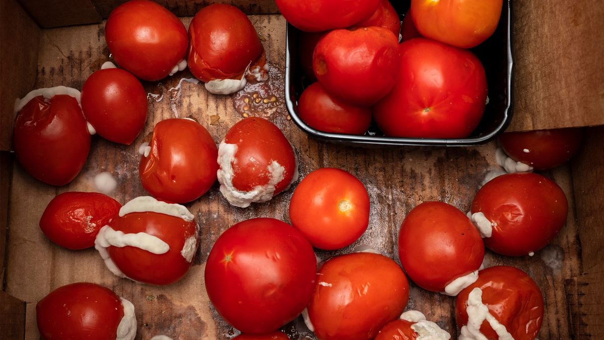 Wiele osób odkraja i spożywa. Ten błąd w kuchni może mieć poważne konsekwencje