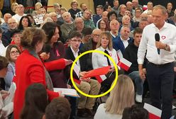 Tusk dostał czerwoną teczkę. Oto co w niej było