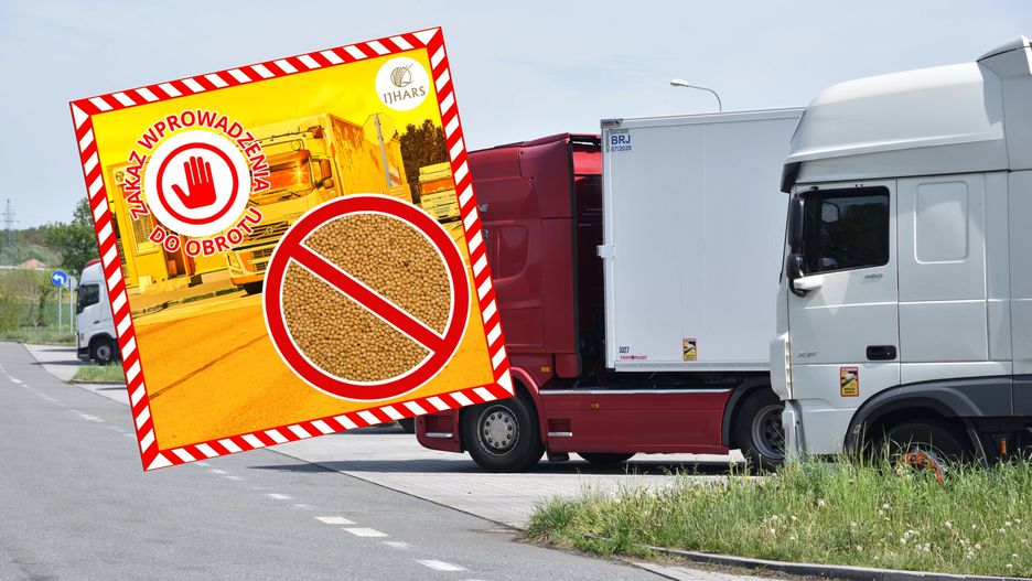 Służby zatrzymały transport gorczycy z Kazachstanu