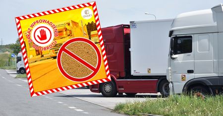 Zanieczyszczona żywność z Kazachstanu. To miało trafić do Polski