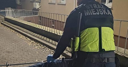 Opuścił szpital i poszedł na "zakupy". Interweniowała straż miejska