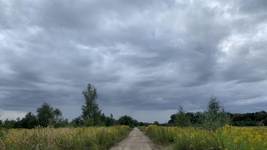 Wrocław. Pogoda. 31 sierpnia 2020 - zimno i mokro. Uwaga na mocny wiatr