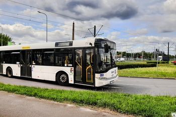 Toruń. Zmiany w komunikacji miejskiej na Wszystkich Świętych. Niektóre autobusy pojadą częściej, 1 listopada za darmo