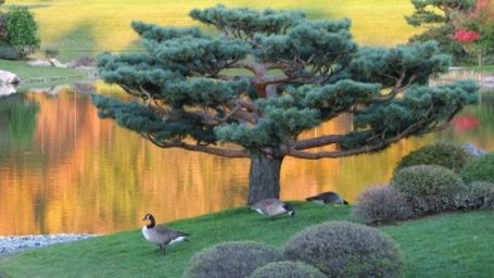 TOP 5: Fascynujące ogrody botaniczne w USA 1