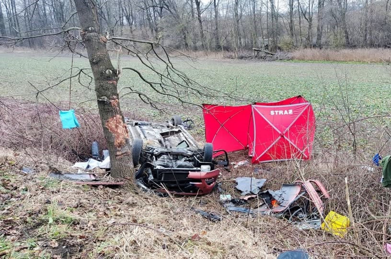 Auto roztrzaskało się na drzewie. Wstrząsające szczegóły