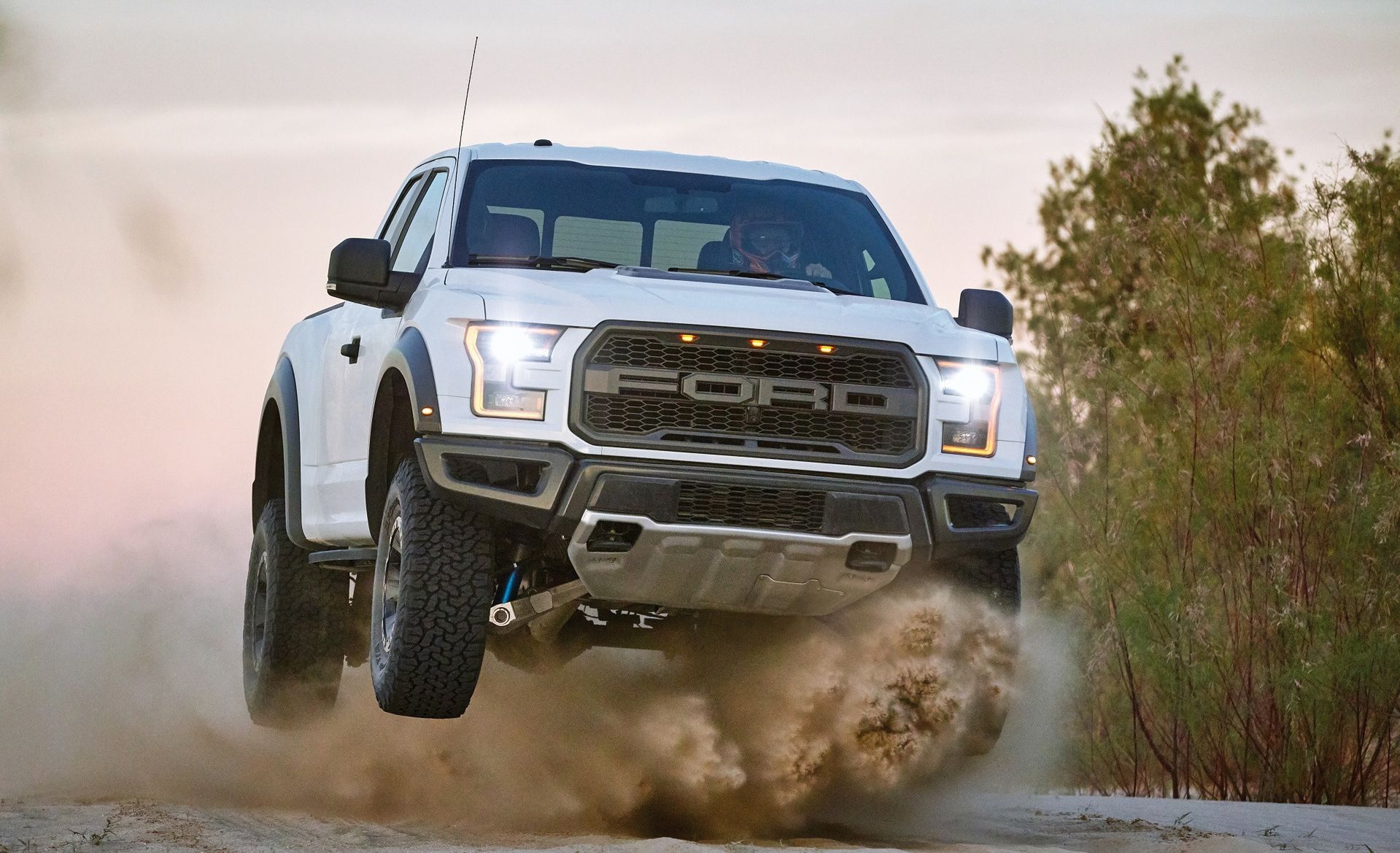 Amerykanie chcieliby zobaczyć nowy silnik w hot-pick-upie F-150 Raptor (fot. Ford)