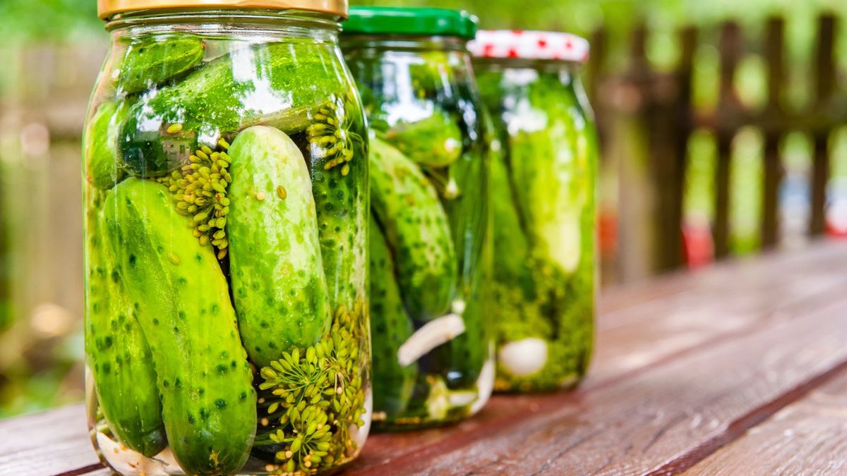 Świeżo zrobione ogórki kiszone