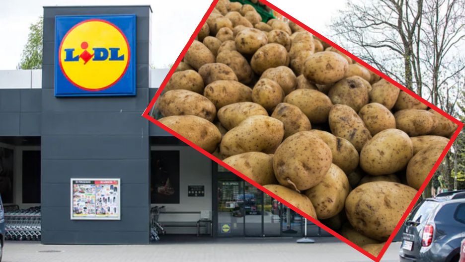 Ziemmniaki na każdą okazję w Lidlu