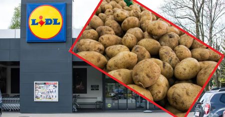 Szaleństwo w Lidlu. Ziemniaki na każdą okazję
