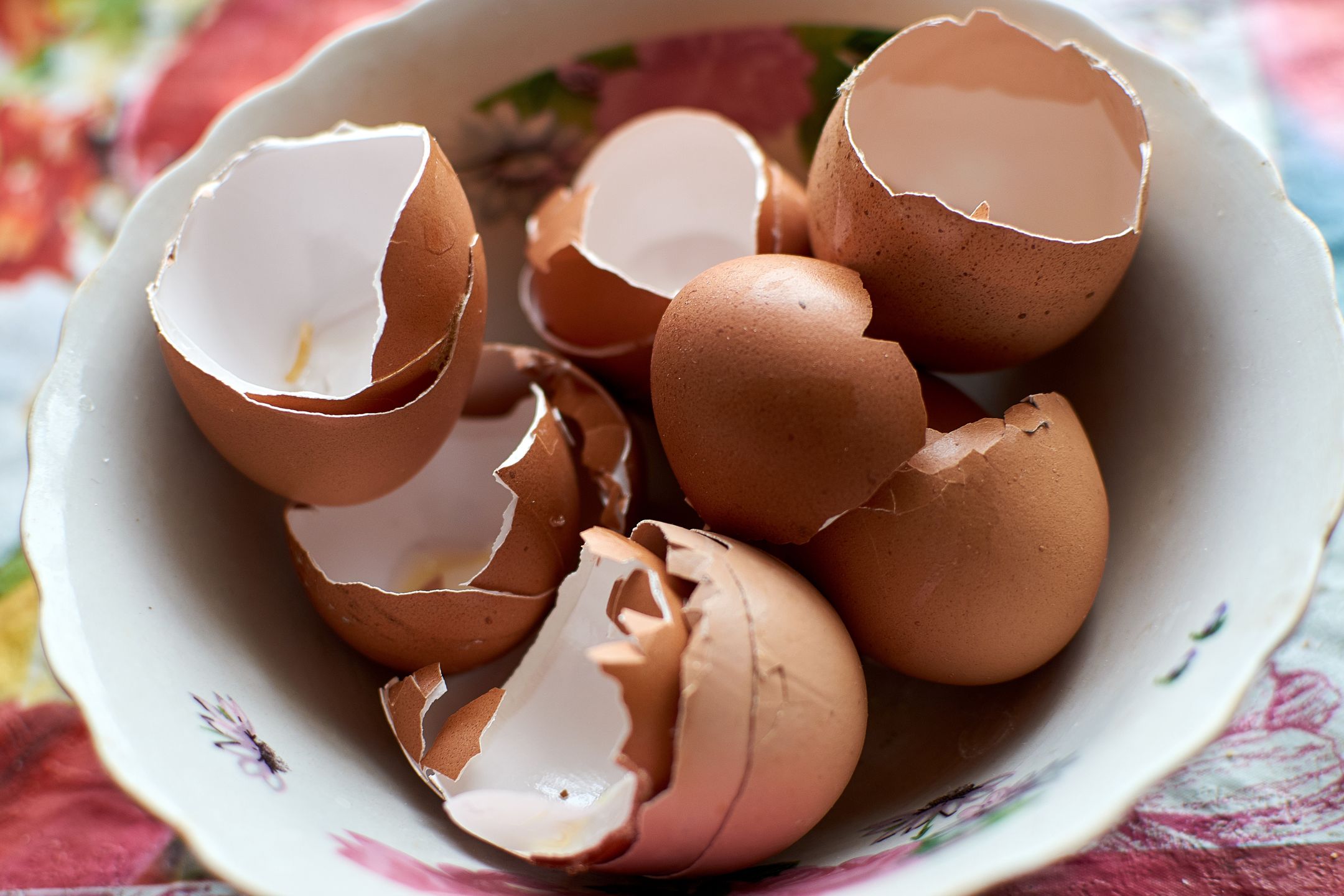 Ze skorupek jaj zrobisz ekologiczny płyn do czyszczenia patelni