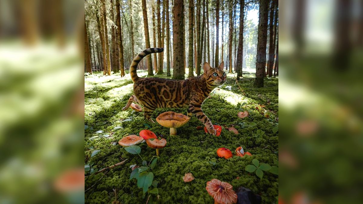 Najpiękniejsze miejsca na świecie. Nie ma tu oklepanych obrazków 1