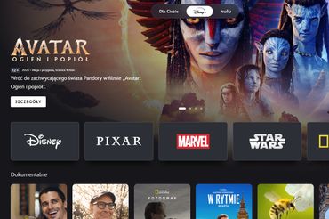 Serwis streamingowy Disney+