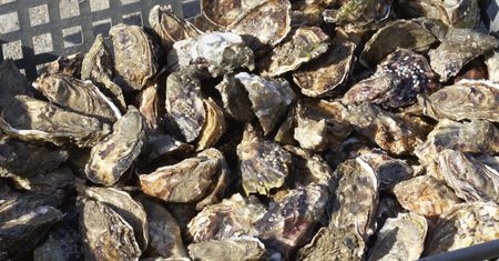 Kiedyś jedli tylko ubodzy. Dziś w restauracjach płacimy za nie krocie