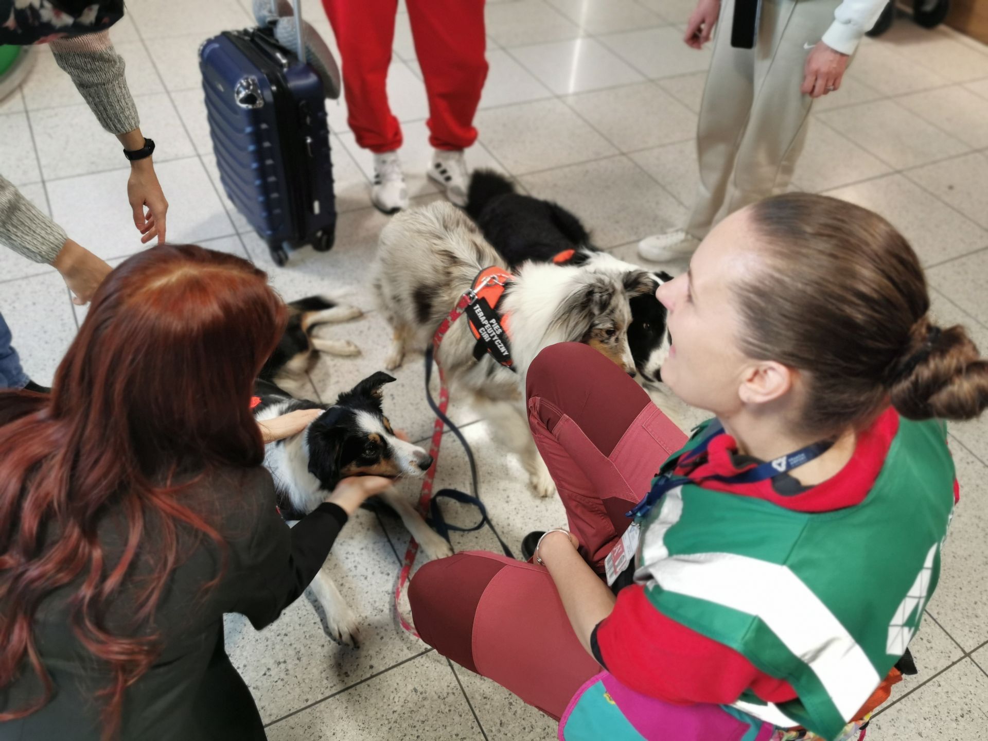 Chętnych do odstresowania się na lotnisku nie brakuje