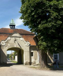 Kupili Nowy Zamek za złotówkę. Teraz muszą go wyremontować