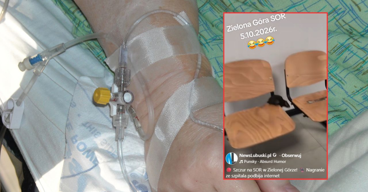 Szczur na SOR-ze w Zielonej Górze. Szpital reaguje. Jest nagranie