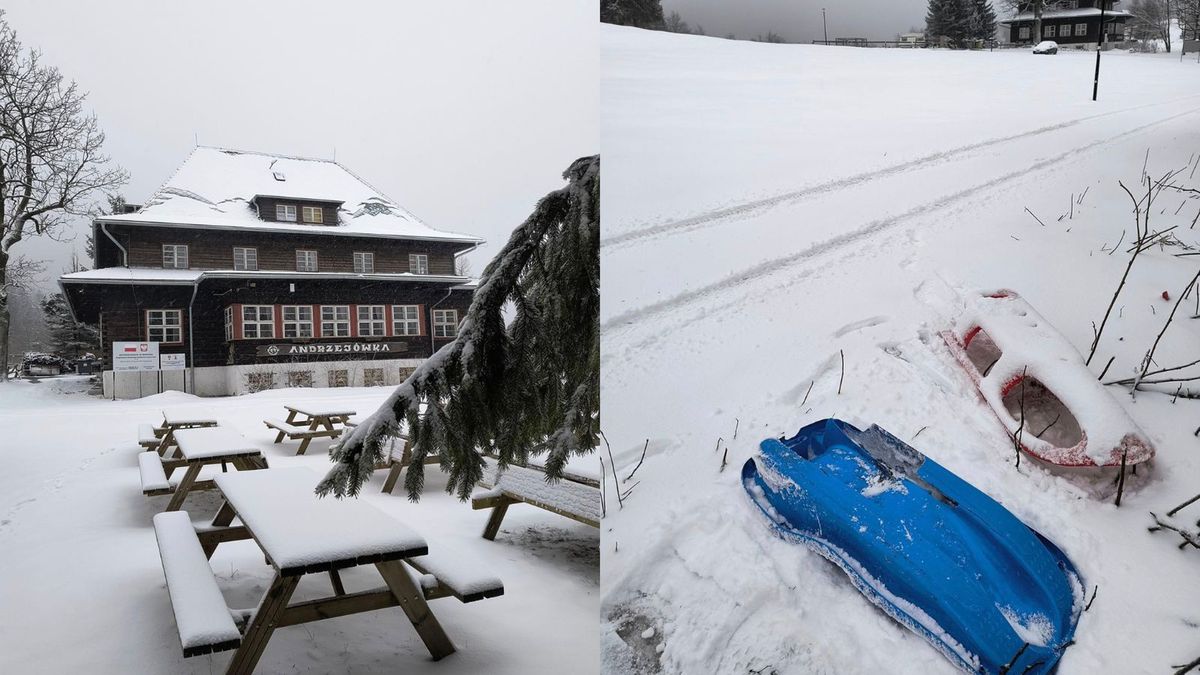 Schronisko apeluje do turystów