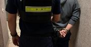 Brzeziny: Groził kierowcy pistoletem-zabawką. 38-latek zatrzymany