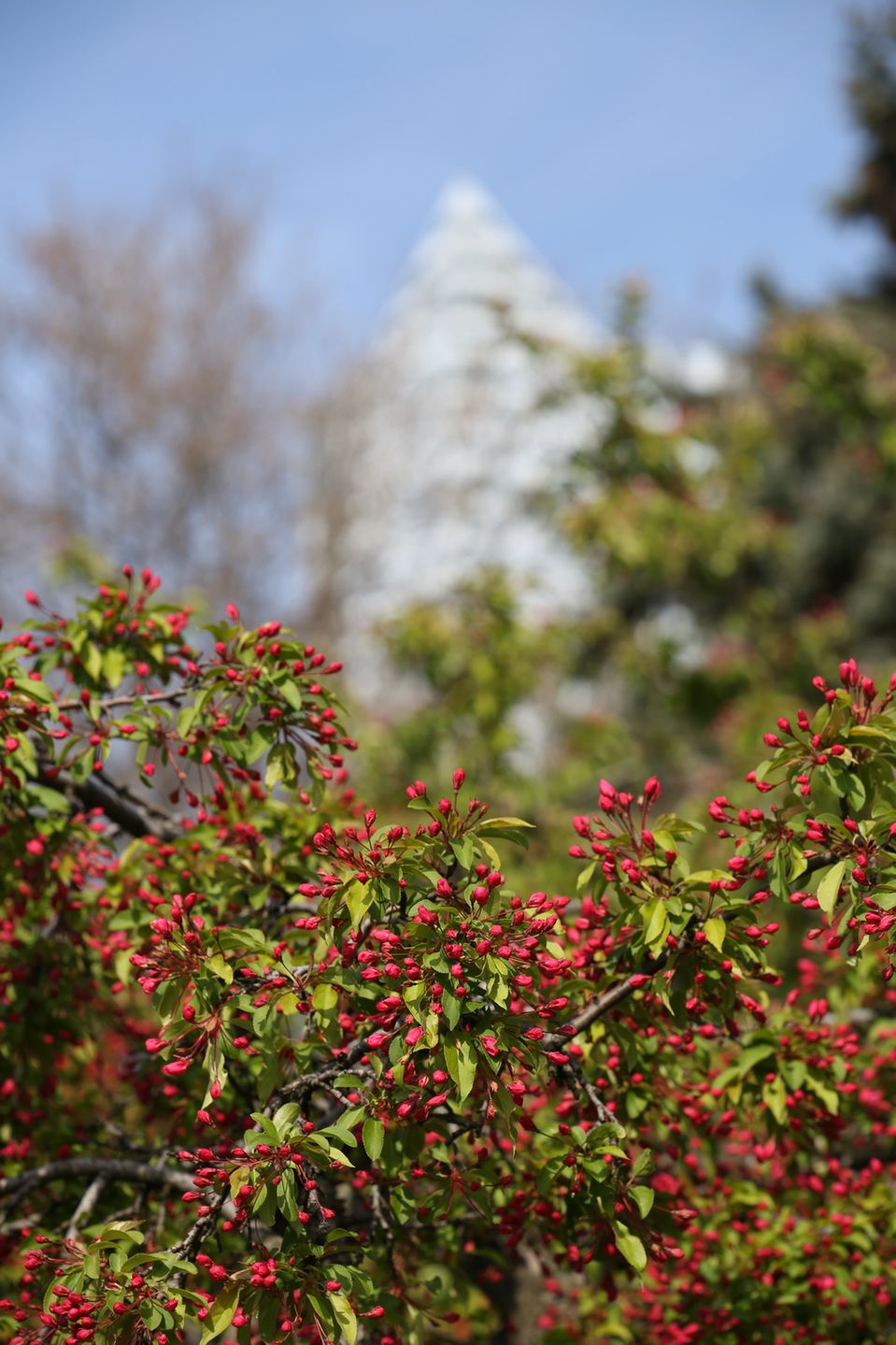 Tamron SP 70-200 mm f/2.8 Di VC USD G2 – obiecanki, wcale nie cacanki! [test] 39