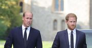 To "jedyna rzecz", która jest w stanie zjednoczyć Williama i Harry'ego. Fani nie mają wątpliwości