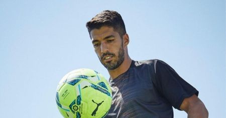 Luis Suarez zdał egzamin z włoskiego. Szokujące pytania