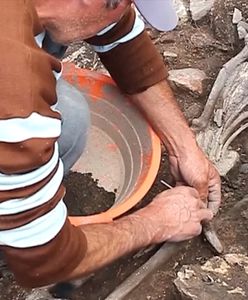 Prehistoryczne odkrycie pod ziemią. Przeleżało 3 tys. lat