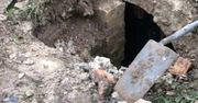 Przekopali ogród dla pewności. To, co odkryli pod ziemią, zwala z nóg