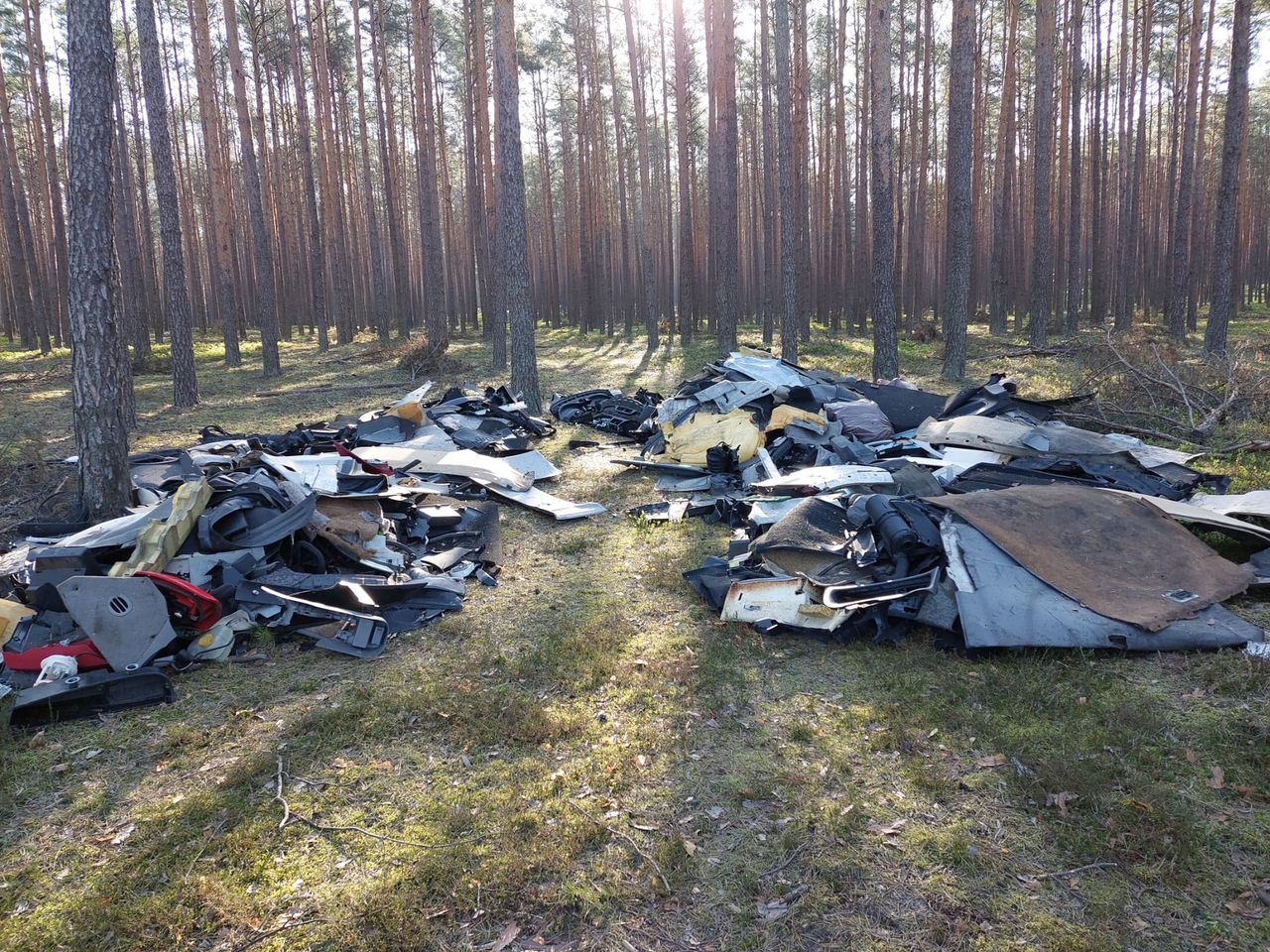 Góra złomu wyrzucona do lasu. Nadleśnictwo mówi, że to plaga