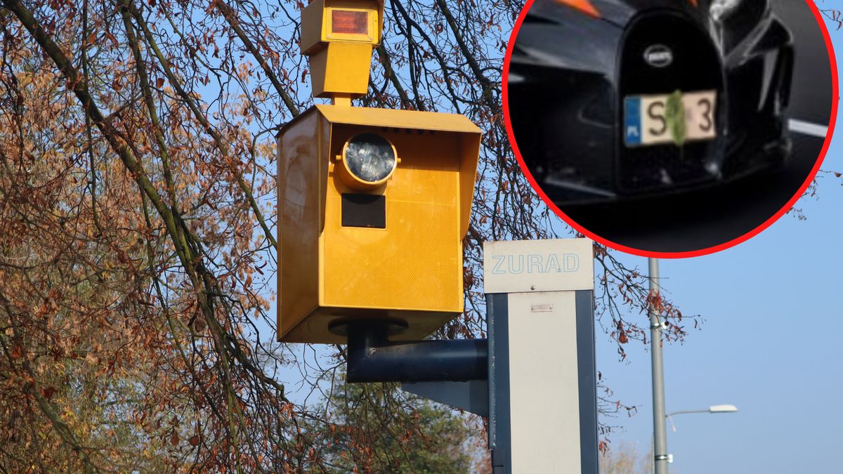 Zdaniem sprzedawcy "liście" są idealnym sposobem na uniknięcie mandatu