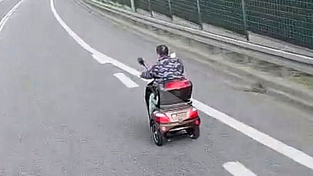 policja