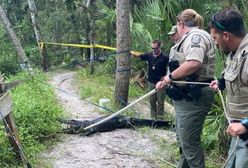 Przerażający wypadek w USA. Wpadł wprost do paszczy aligatora