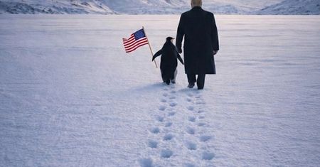 Trump z pingwinem w Grenlandii. Zaskakująca grafika Białego Domu