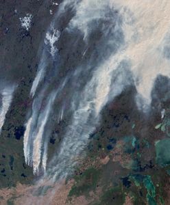 Kanada płonie. Tysiące ewakuowanych