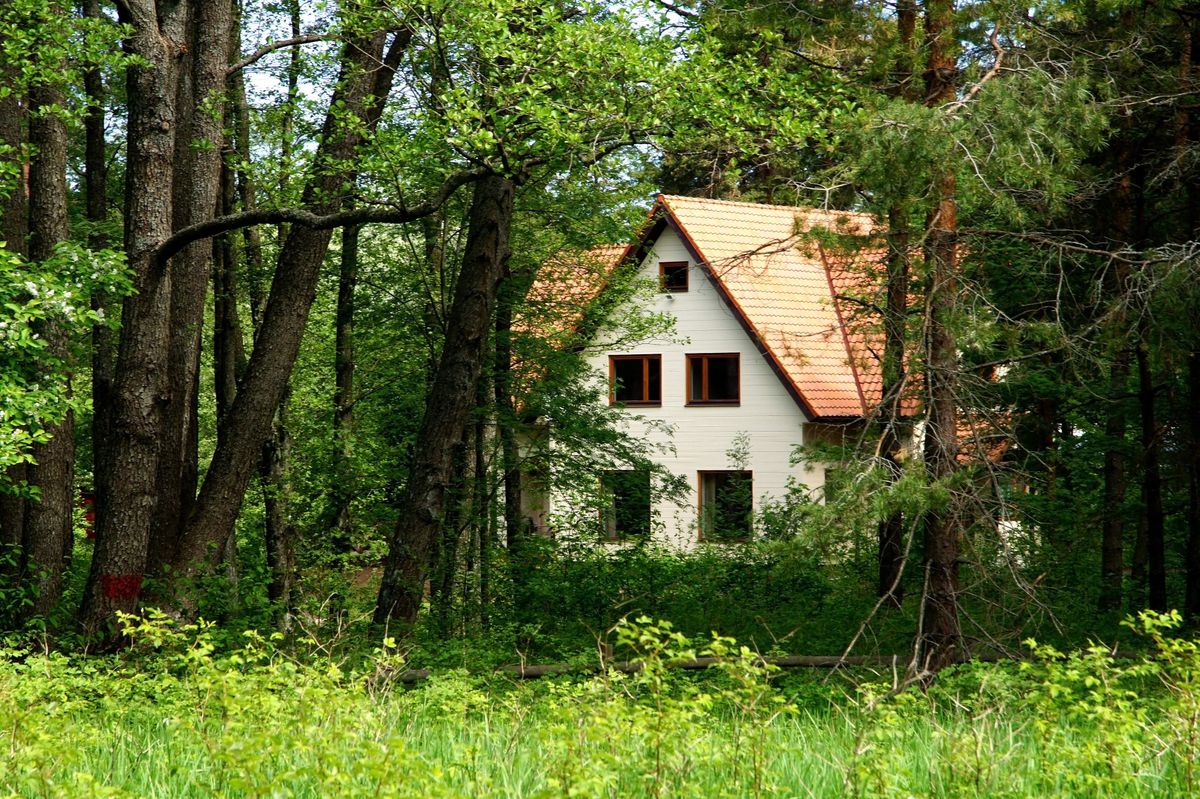 Dom na leśnej polanie. Czy to w ogóle możliwe?