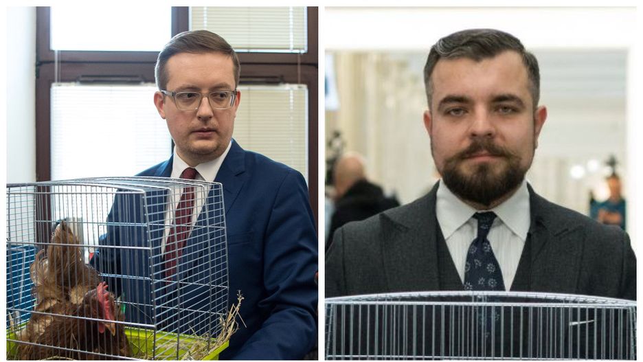 Zdjęcia polityków