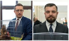 Szok w Sejmie. Sesja z kurą